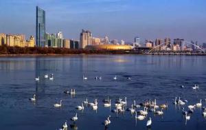 三門峽又一網(wǎng)紅景點(diǎn)，確定不來pick一下？